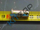 ����� ������ ��������� � �������