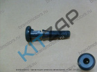 ������������ ������������   (����� �����)