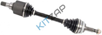 ������ ���� �������� �����_����_0