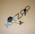 ������ ������� ����
